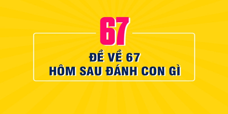 de-ve-67-hom-sau-danh-con-gi