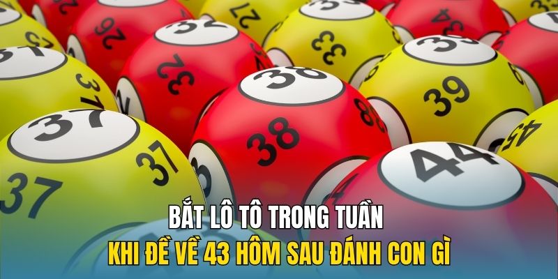 Bắt lô tô trong tuần khi đề về 43 hôm sau đánh con gì